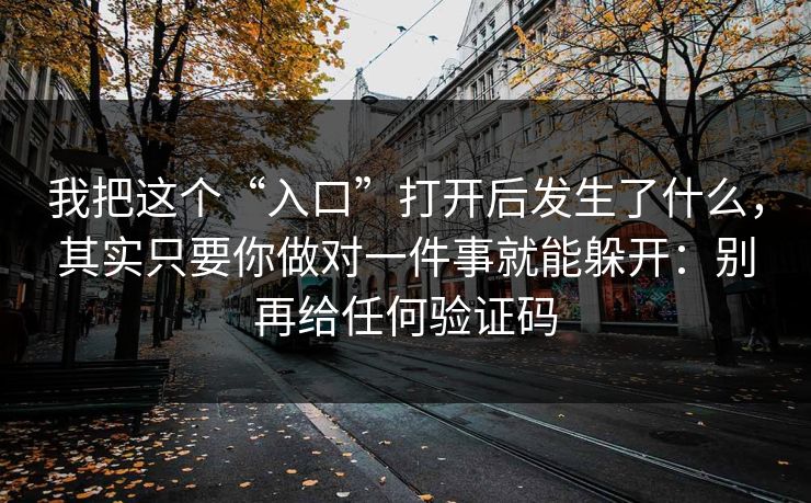 我把这个“入口”打开后发生了什么，其实只要你做对一件事就能躲开：别再给任何验证码