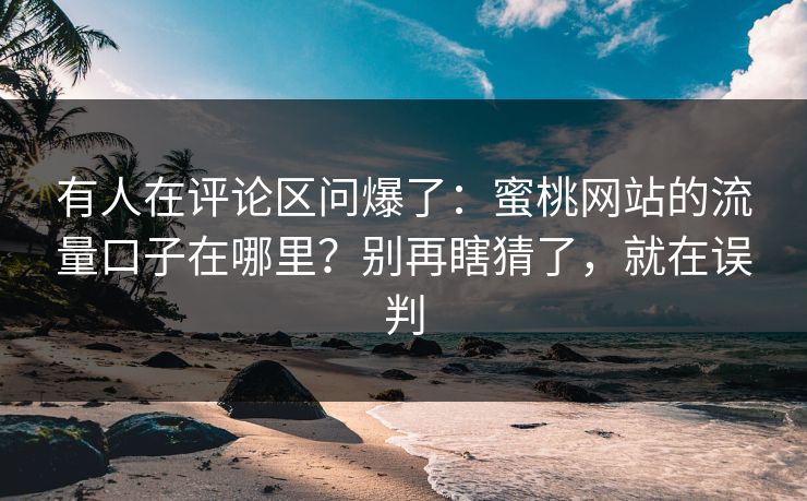 有人在评论区问爆了：蜜桃网站的流量口子在哪里？别再瞎猜了，就在误判