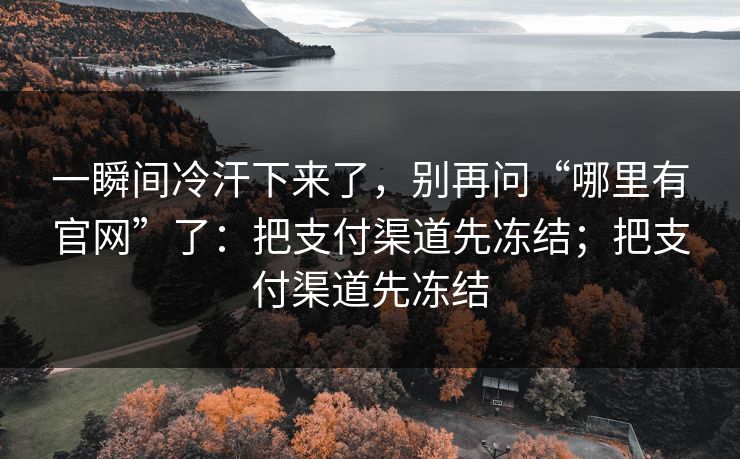 一瞬间冷汗下来了,别再问“哪里有官网”了:把支付渠道先冻结;把支付渠道先冻结 一瞬间冷汗下来了,别再问“哪里有官网”了:把支付渠道先冻结;把支付渠道先冻结